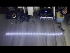 Φως λουρίδων